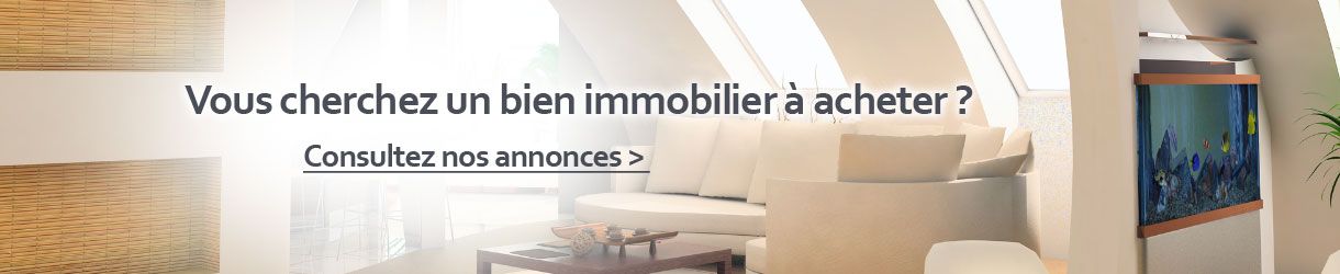 Annonces ventes immobilières